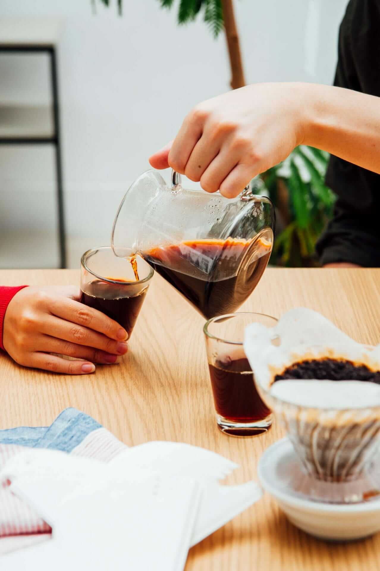 Hario V60 filtros love bird