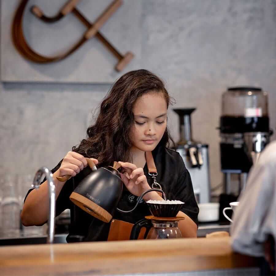 Brewista hervidor Artisan 0.6L