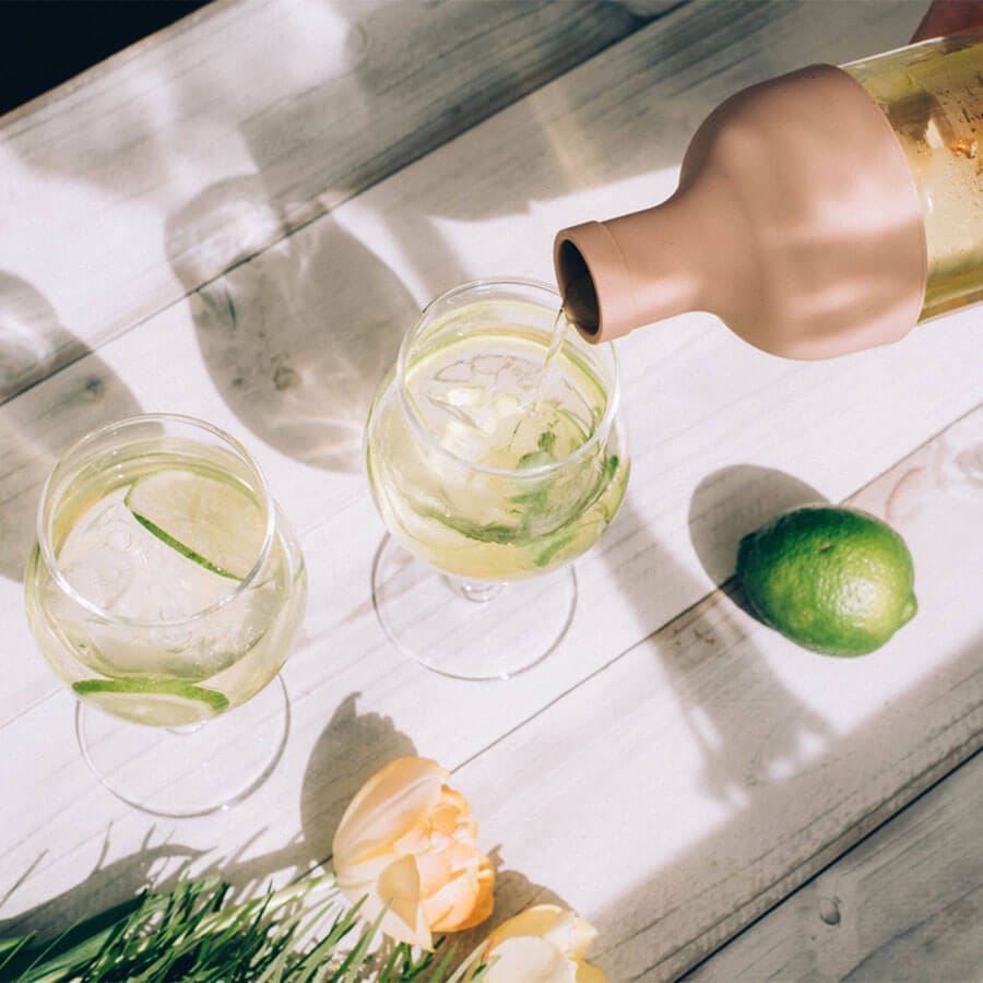 Hario botella de té con filtro