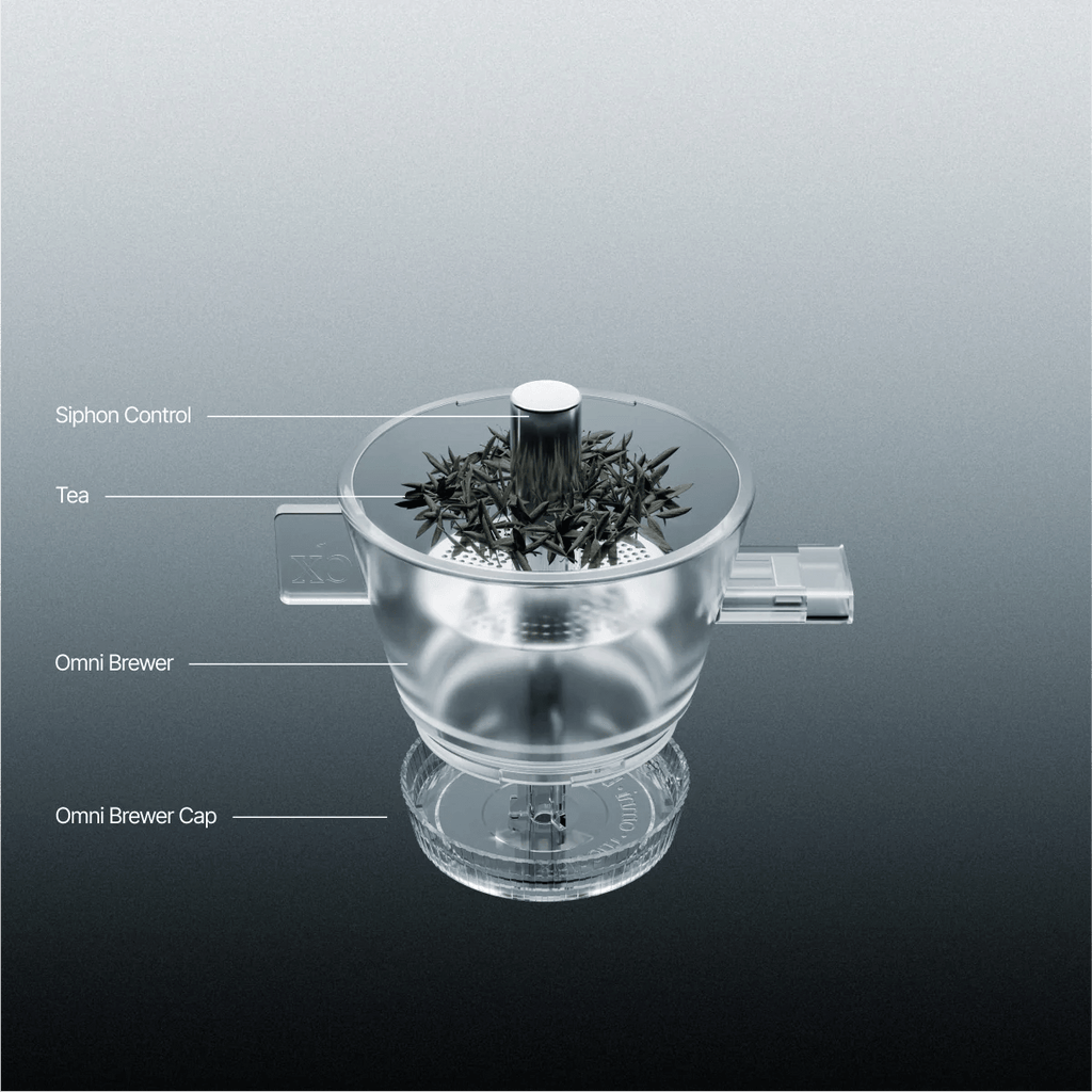 xBloom Omni Tea Brewer