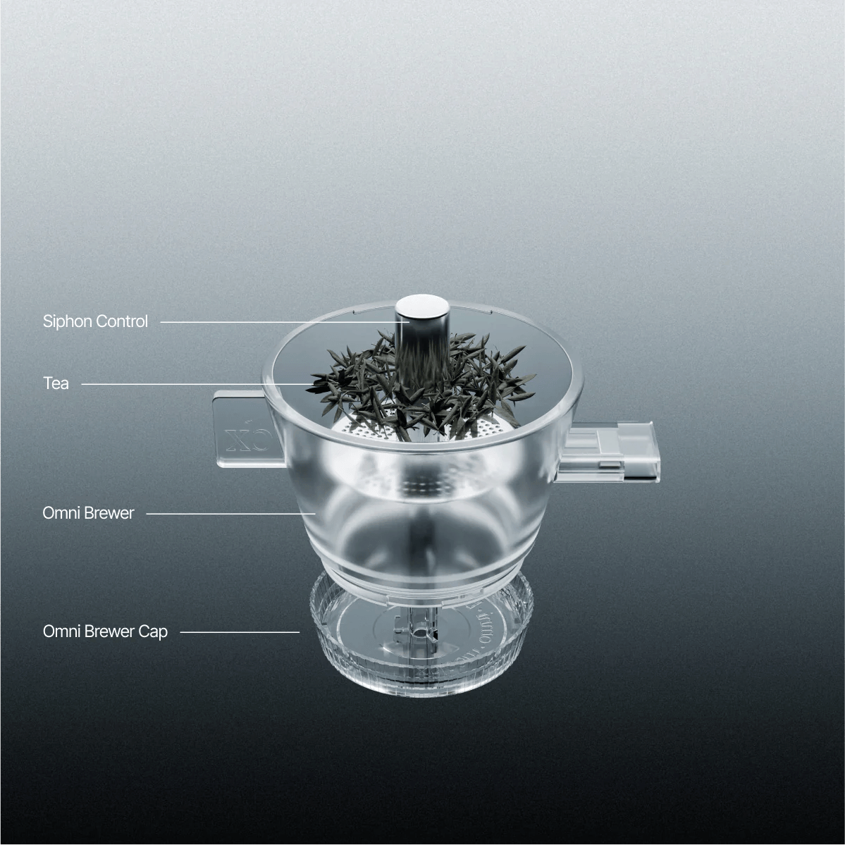 xBloom Omni Tea Brewer