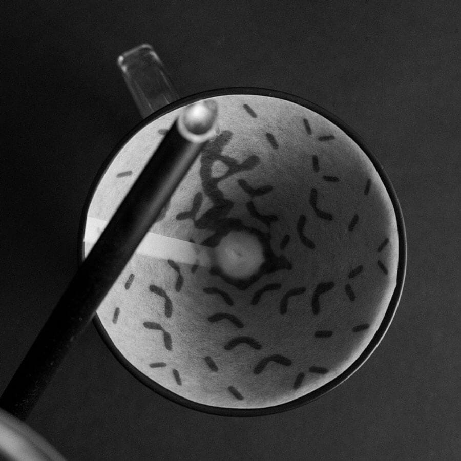 Graycano dripper + funda