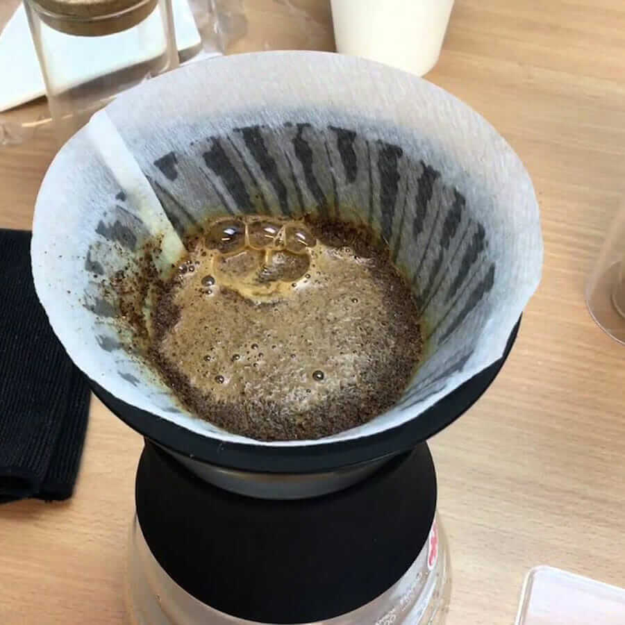 Hario V60 con decantador