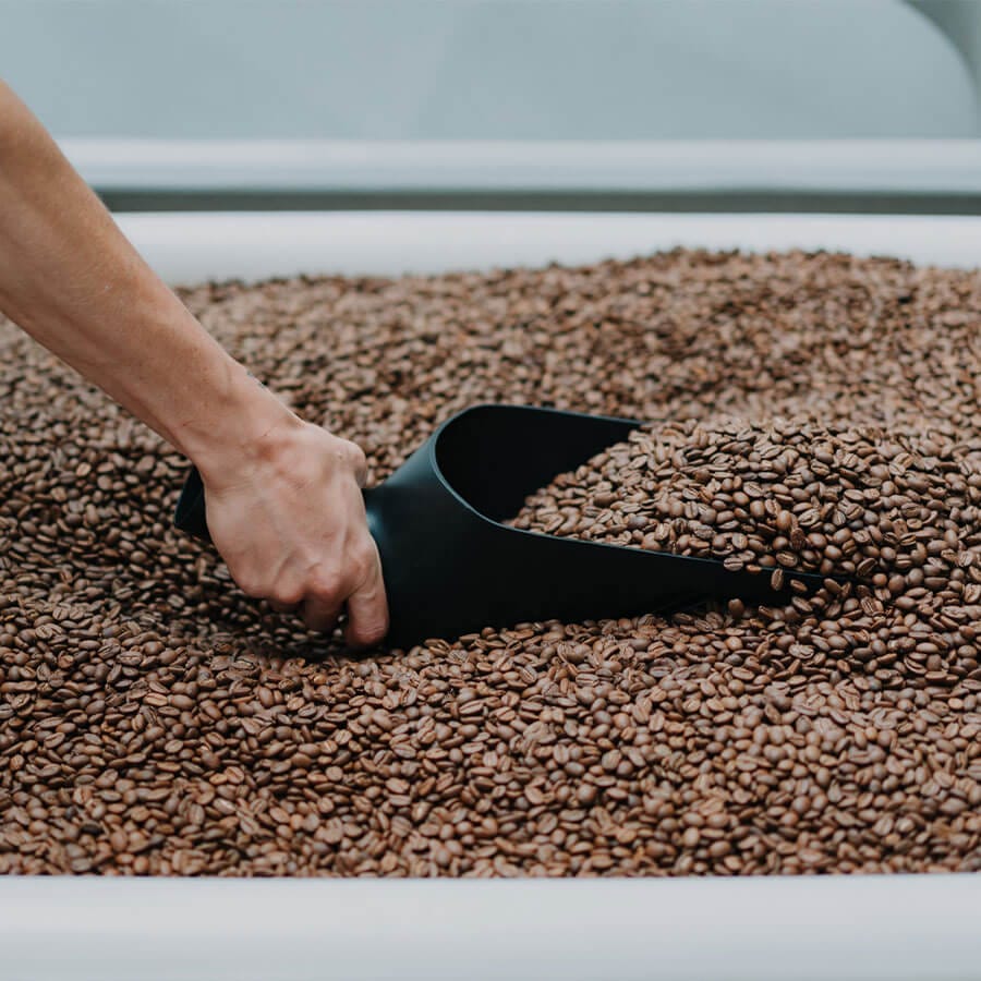 Rhino pala granos de café