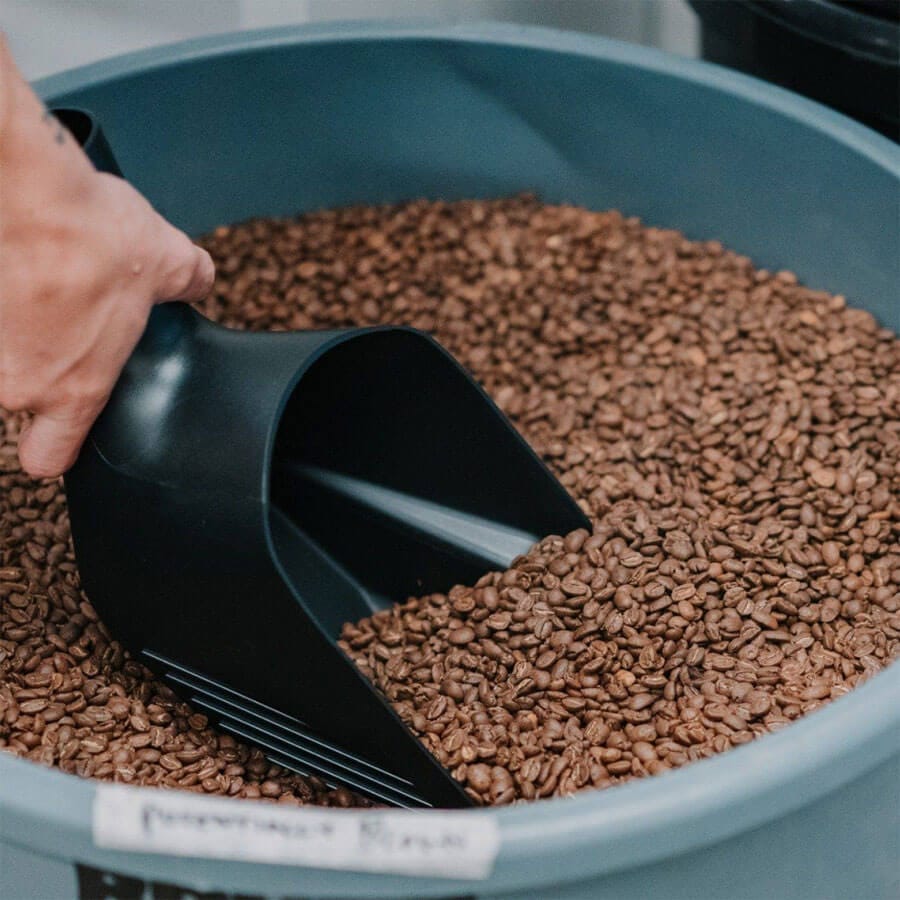 Rhino pala granos de café