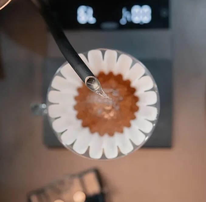 Simplify coffee dripper