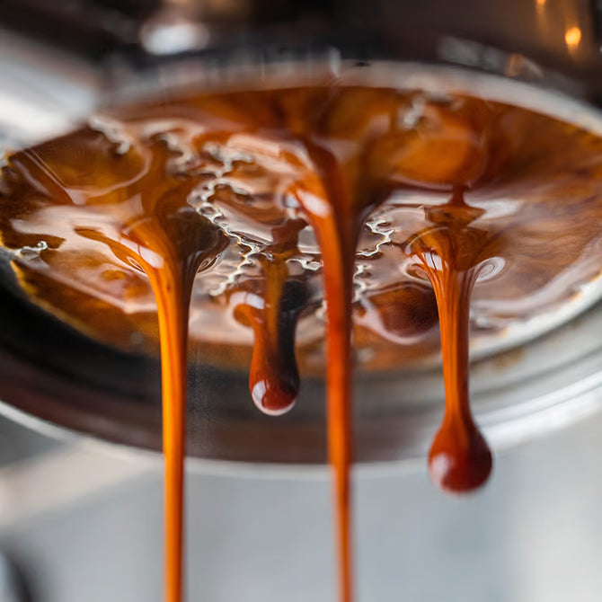 Baratza molino Encore ESP