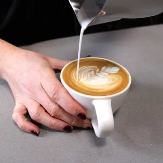 Rhino jarra Classic Colorful