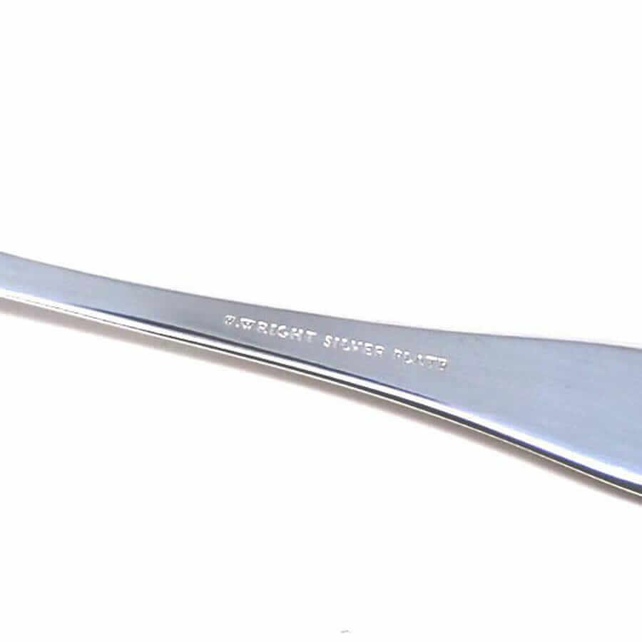Cuchara de cata plata – Profesional
